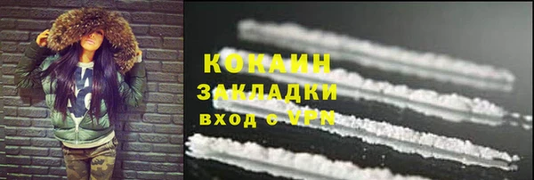 индика Аркадак