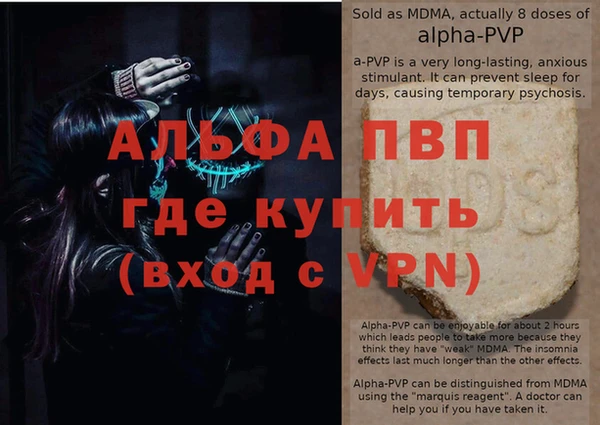 индика Аркадак