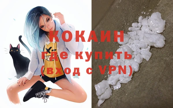 индика Аркадак