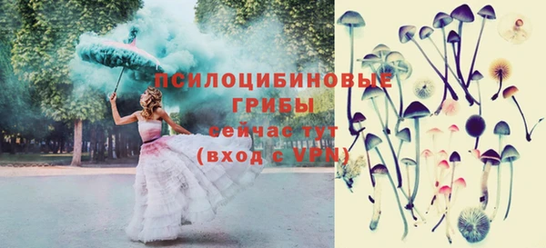 гашик Армянск