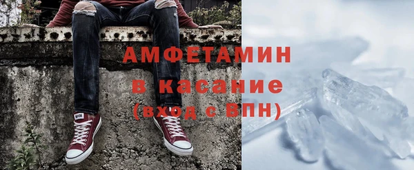 индика Аркадак