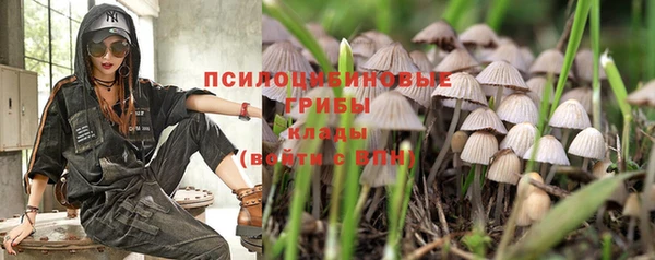 гашик Армянск
